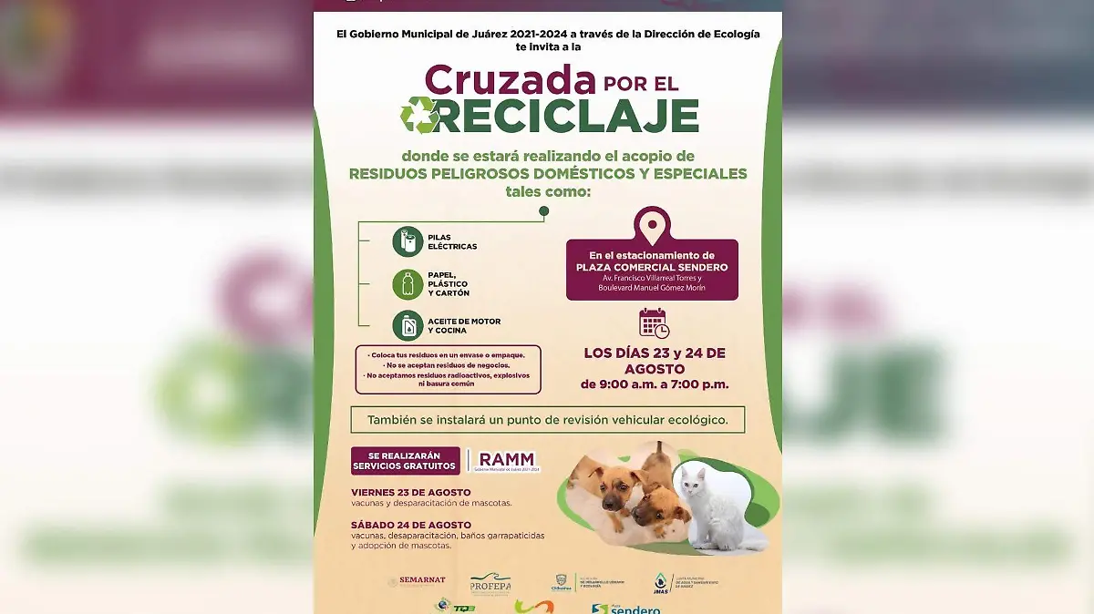 cruzada reciclaje